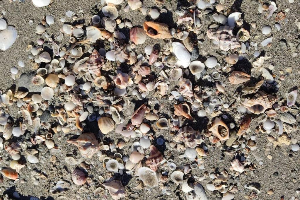Santa Pola Con Tres Dormitorios Playa Levante Zewnętrze zdjęcie